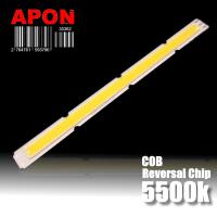 AP13010-COB-W5500
